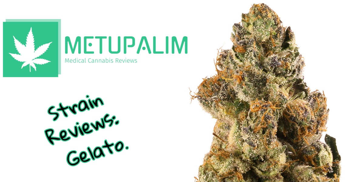 Geltato Strain Review