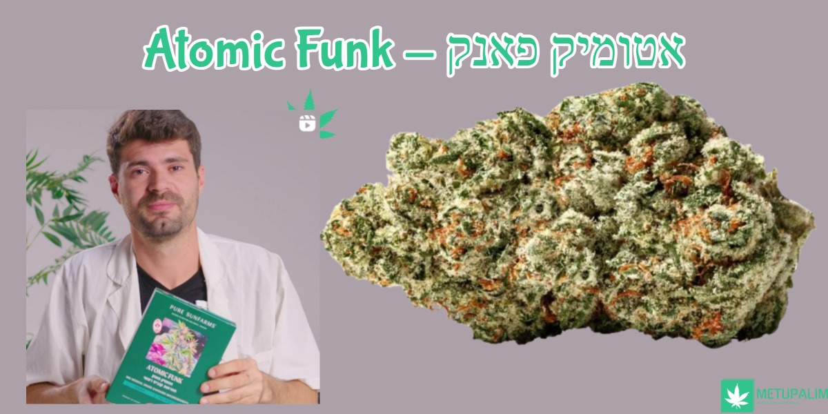 Atomic Funk אטומיק פאנק