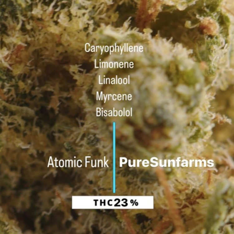 Atomic Funk Pure Sunfarms